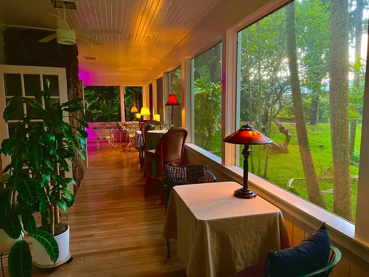 Specialty Vibrant Hawi Guest House