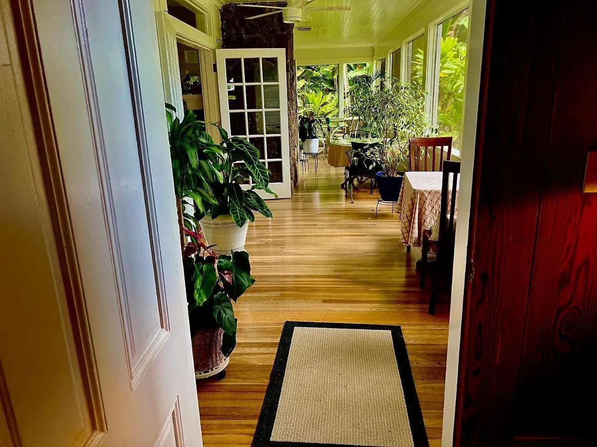 Specialty Vibrant Hawi Guest House